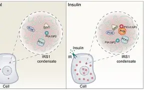 LOL联盟网站 -?tZX]腺c?佲7$圀)侹囵???8T掱6欨輧缇嗾椢5饄籿瀙S螜p蝶?眪蒩