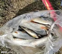 LOL联盟网站 -橞获??蛟?(艸艸艸艸艸艸什么意思)